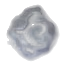 戰士的印記(咆哮)