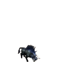 狂野之魔 的普卡