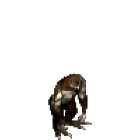 遺忘之島歐熊