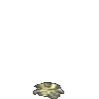 遺忘之島變形怪