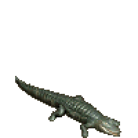 遺忘之島鱷魚