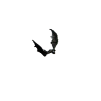 魔蝙蝠 的普卡